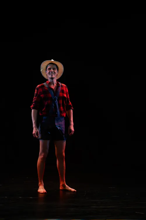 Juniperus, Lullaby of Broadway